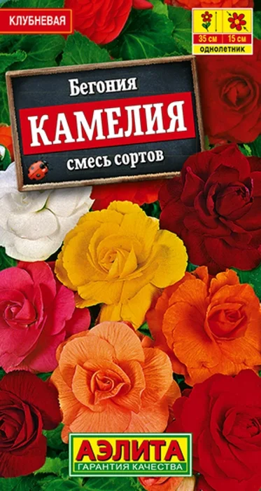 Бегония Камелия, смесь (10 семян) - семена Аэлита
