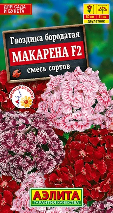 Гвоздика турецкая Макарена, смесь F2 (0,1г) - семена Аэлита