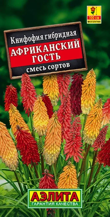 Книфофия Африканский Гость, смесь (30 семян) - семена Аэлита