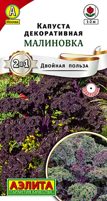 Капуста декоративная Малиновка (0,3 г) - семена Аэлита