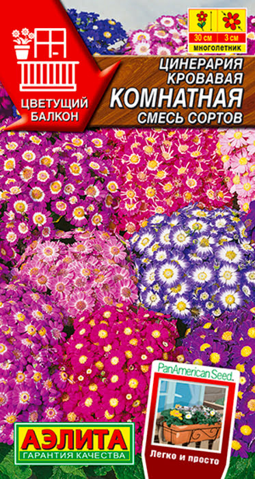 Цинерария Комнатная, смесь (30 семян) - семена Аэлита