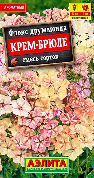 Флокс Крем-Брюле, смесь (0,1г) - семена Аэлита