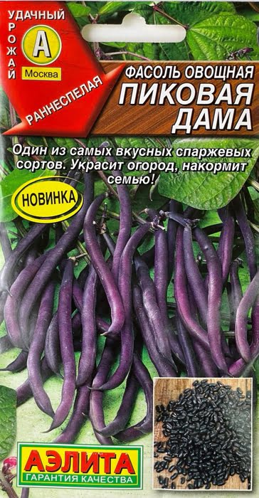 Фасоль овощная Пиковая Дама (5г) - семена Аэлита