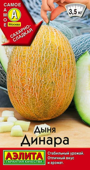 Дыня Динара (1 г) - семена Аэлита