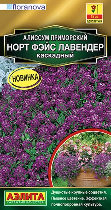 Алиссум приморский Норт Фэйс Лавендер каскадный (10 семян) - семена Аэлита
