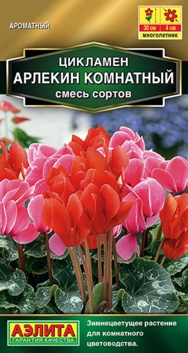 Цикламен Арлекин Комнатный, смесь (3 семя) - семена Аэлита