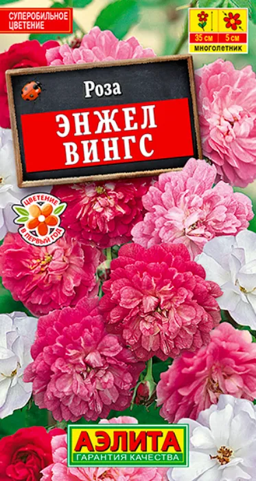 Роза Китайская Энжел Вингс (10 семян) - семена Аэлита