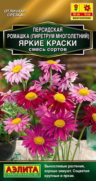 Персидская ромашка Яркие Краски, смесь (0,1 г) - семена Аэлита