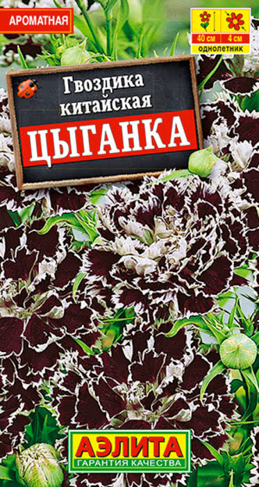 Гвоздика Цыганка китайская (0,05г) - семена Аэлита
