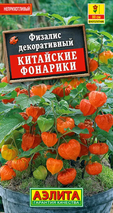 Физалис Китайские Фонарики (0,2г) - семена Аэлита