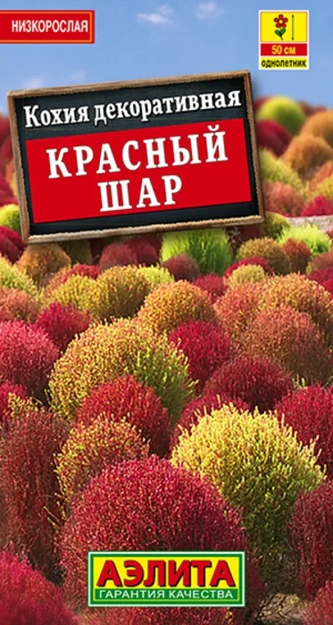 Кохия Красный Шар (0,1г) - семена Аэлита