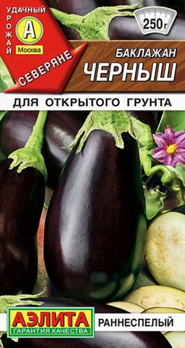 Баклажан Черныш (0,1г) - семена Аэлита