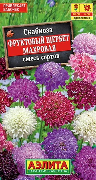 Скабиоза Фруктовый Щербет (0,1г) - семена Аэлита