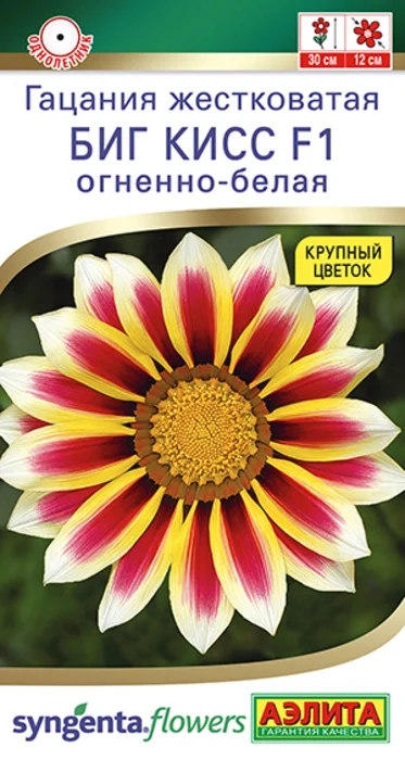 Гацания Биг Кисс Огненно-Белая F1 (3 семян) - семена Аэлита