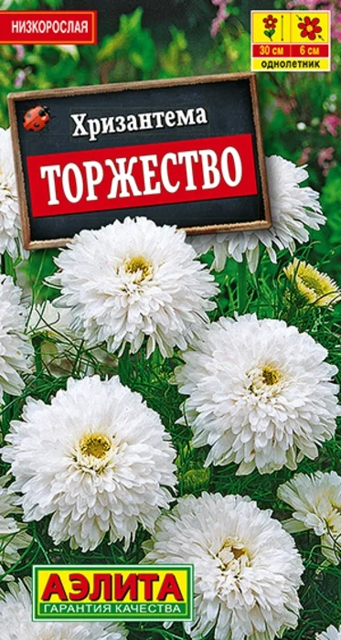 Хризантема букетная Торжество (0,1г) - семена Аэлита