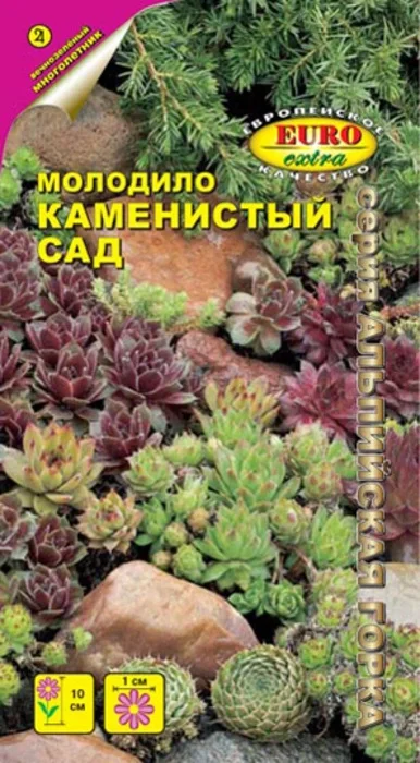 Молодило Каменистый сад (0,005г) - семена Аэлита