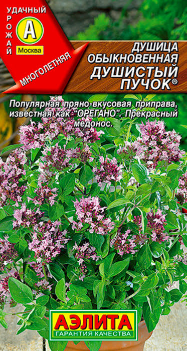 Душица обыкновенная Душистый Пучок (0,05г) - семена Аэлита