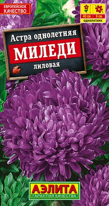 Астра Миледи Лиловая (0,2г) - семена Аэлита