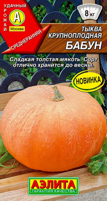Тыква крупноплодная Бабун (1г) - семена Аэлита