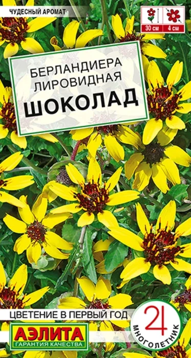 Берландиера Шоколад (5 семян) - семена Аэлита