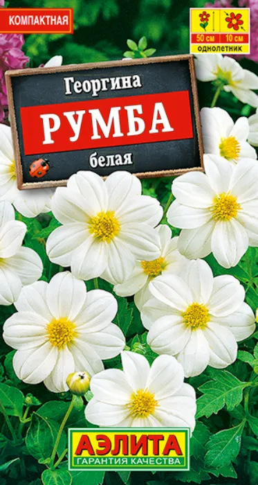 Георгина Румба Белая (0,3г) - семена Аэлита