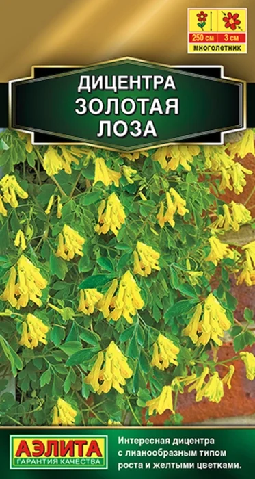 Дицентра Золотая Лоза (5 семян) - семена Аэлита