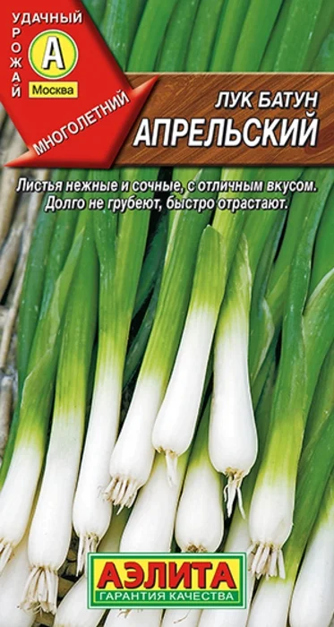 Лук батун Апрельский (0,5г) - семена Аэлита