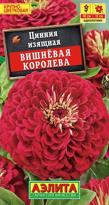Цинния Вишневая Королева (0,3г) - семена Аэлита