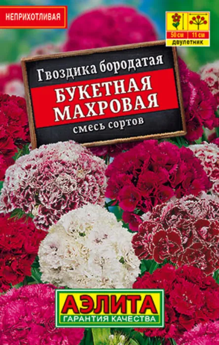 Гвоздика Букетная махровая, смесь (0,1г) - семена Аэлита серия ЛИДЕР