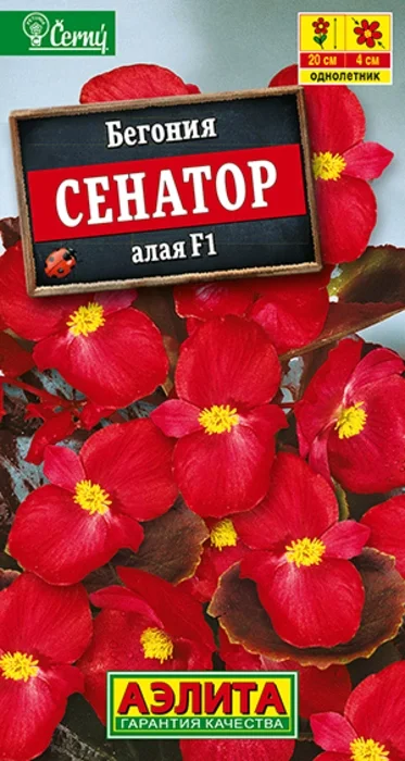 Бегония вечноцветущая Сенатор Алая F1 (10 семян) - семена Аэлита