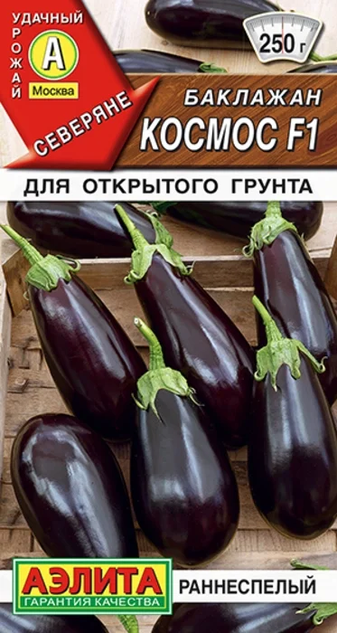 Баклажан Космос F1 (0,1г) - семена Аэлита