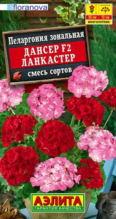 Пеларгония Дансер Ланкастер F2, смесь (5 семян) - семена Аэлита