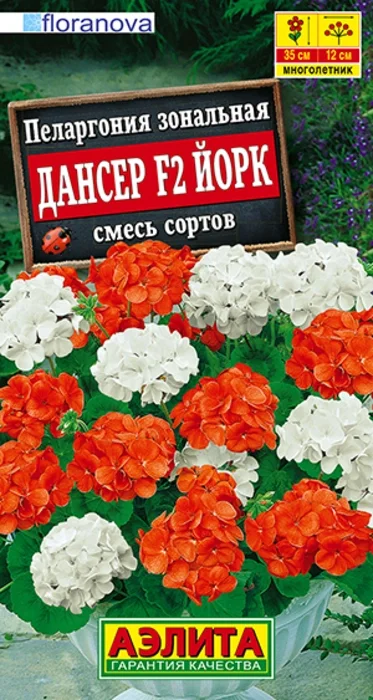 Пеларгония Дансер Йорк F2, смесь (5 семян) - семена Аэлита