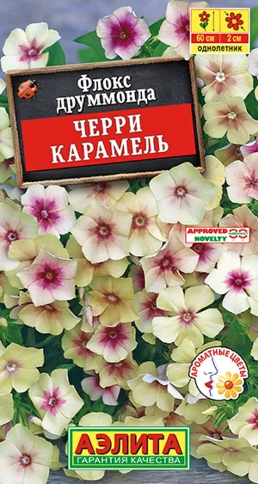 Флокс друммонда Черри Карамель (20 семян) - семена Аэлита