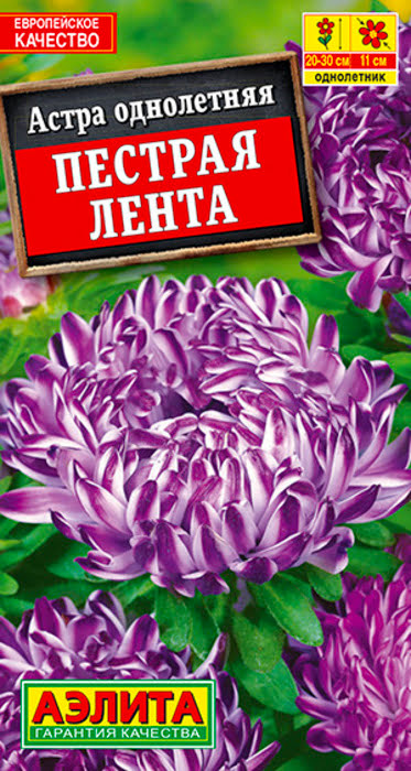 Астра Пестрая Лента (0,1г) - семена Аэлита