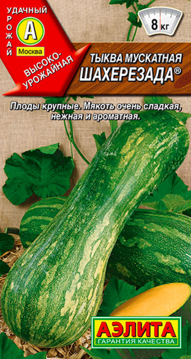 Тыква мускатная Шахерезада (1г) - семена Аэлита