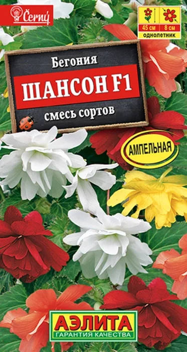 Бегония ампельная Шансон, смесь F1 (10 семян) - семена Аэлита