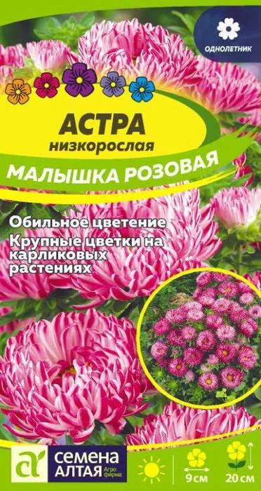 Астра Малышка Розовая (0,2г) - Семена Алтая