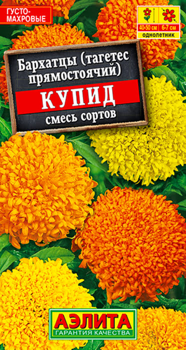 Бархатцы Купид Хризантемовидные, смесь (0,1г) - семена Аэлита