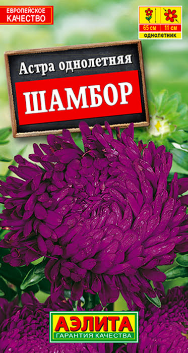 Астра Шамбор Пионовидная (0,2г) - семена Аэлита