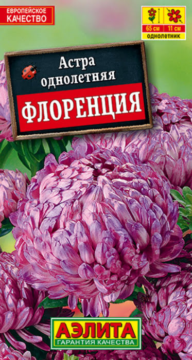 Астра Флоренция (0,2г) - семена Аэлита