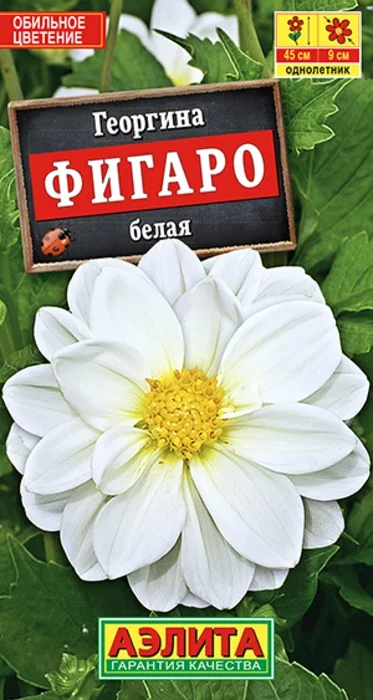 Георгина Фигаро Белая (7 семян) - семена Аэлита