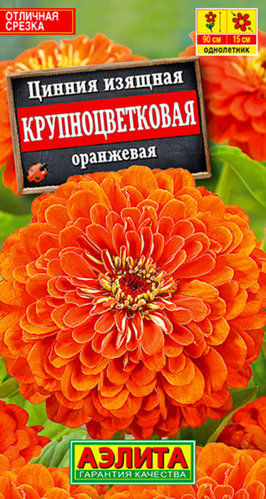 Цинния Крупноцветковая оранжевая (0,3г) - семена Аэлита