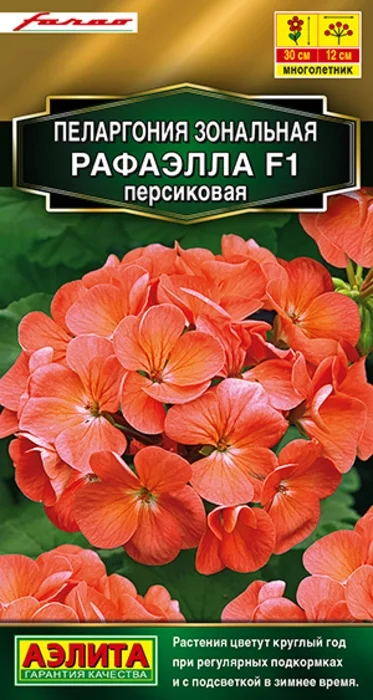 Пеларгония Рафаэлла Персиковая F1 (5 семян) - семена Аэлита