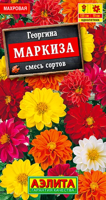 Георгина махровая Маркиза, смесь (10 семян) - семена Аэлита