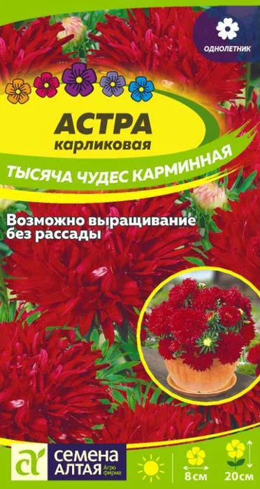 Астра Тысяча Чудес Карминная Карликовая (0,15г) - Семена Алтая