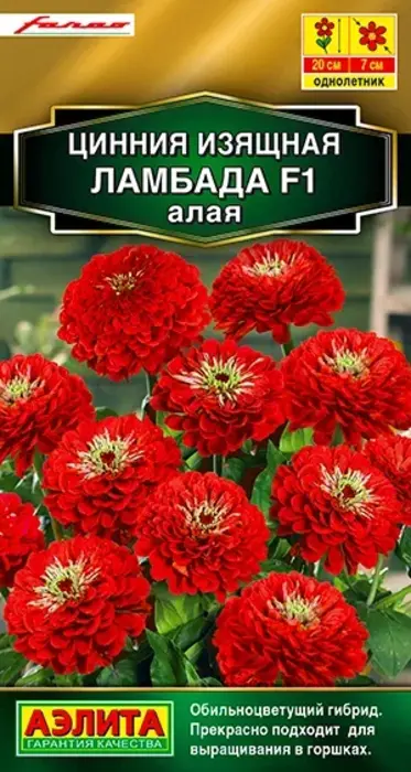 Цинния Ламбада Алая F1 (12 семян) - семена Аэлита