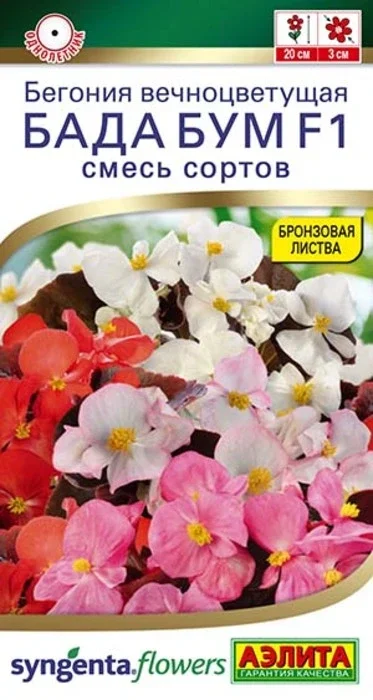 Бегония Бада Бум, смесь F1 (5 семян) - семена Аэлита