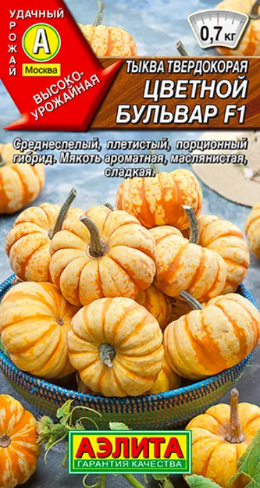 Тыква твердокорая Цветной Бульвар F1 (5 семян) - семена Аэлита