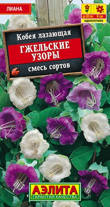 Кобея Гжельские Узоры, смесь (0,45г) - семена Аэлита